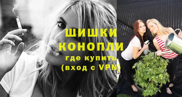молекула духа Магадан