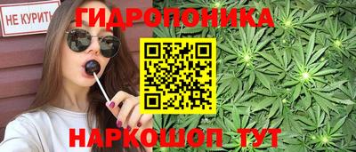 2c-b Краснознаменск