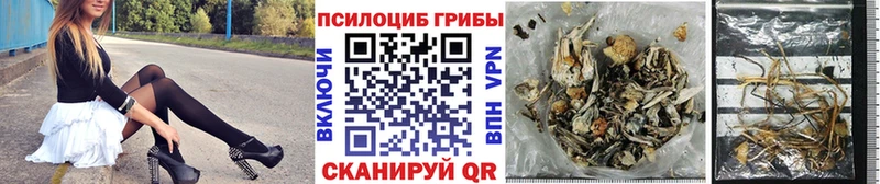 Галлюциногенные грибы мицелий  Жуковский 