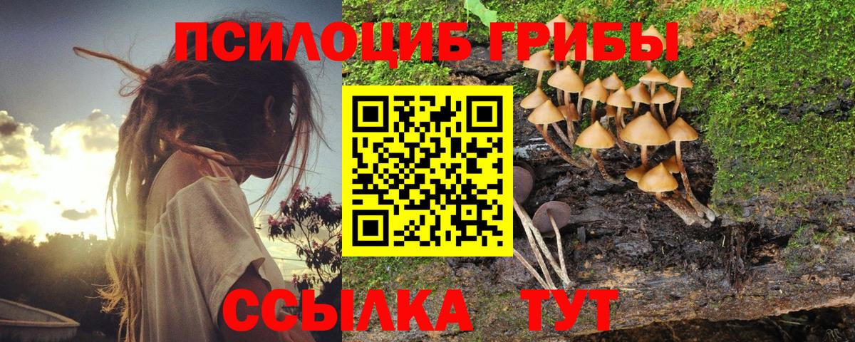 A PVP Жуковский
