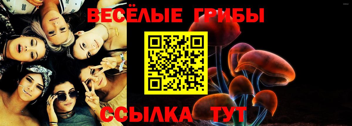 Псилоцибиновые грибы GOLDEN TEACHER Жуковский